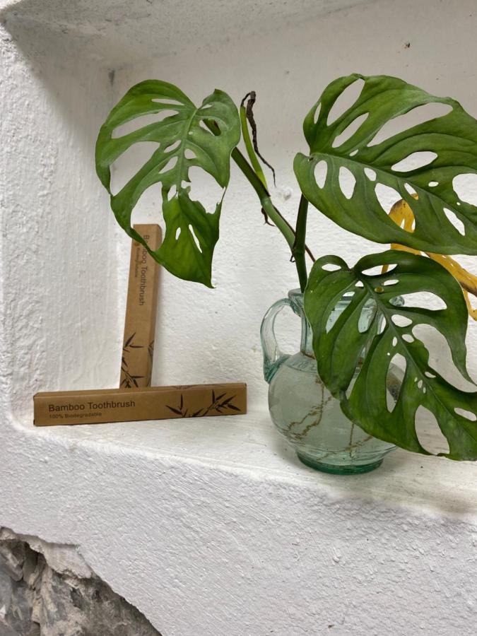 El Acicate Hospedaje Cuetzalán del Progreso 外观 照片